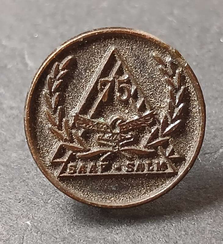 SA AIR FORCE 75 YEARS LAPEL PIN BADGE                     L32
