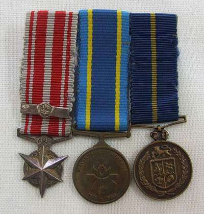 South African Police - Medallions