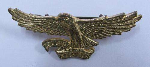 Regt. Orange River Cap Badge