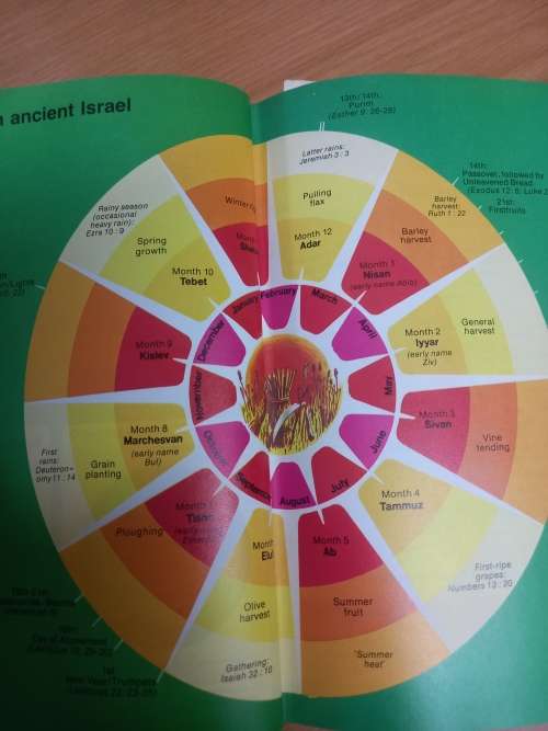 Handbook of the Bible