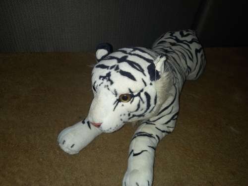 tiger