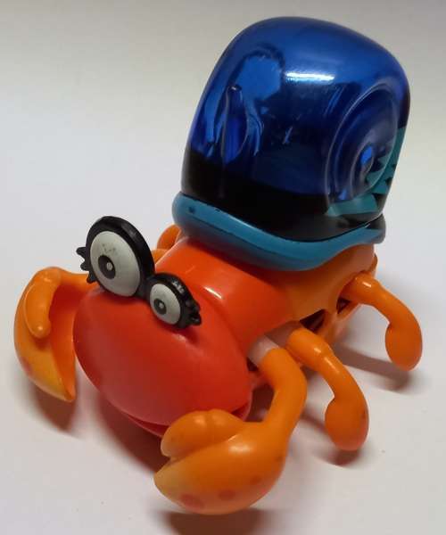 Xia Xia pets hermit crabs Trinidad