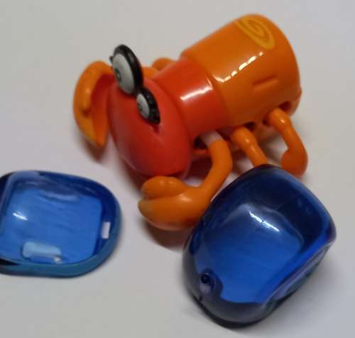 Xia Xia pets hermit crabs Trinidad