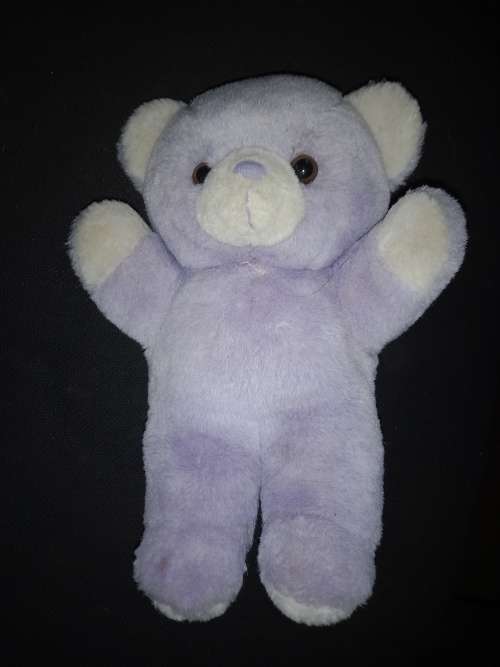 teddy purple
