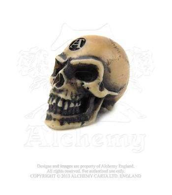 Lapillus Worry Skull Alchemy Gothic
