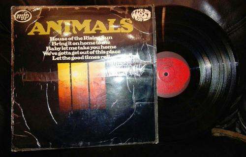 ANIMALS  "THE MOST OF"