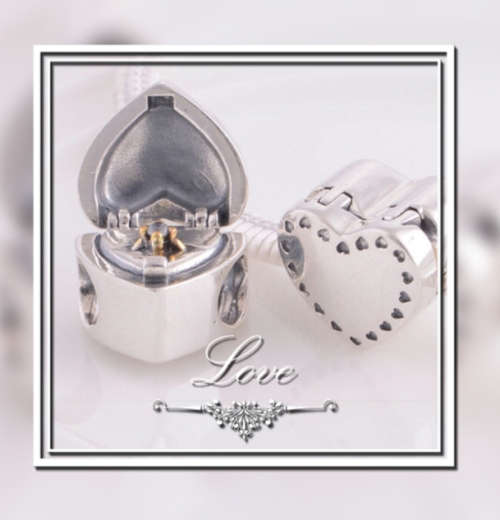 Stunning Sterling Silver Authentic Pandora Charm