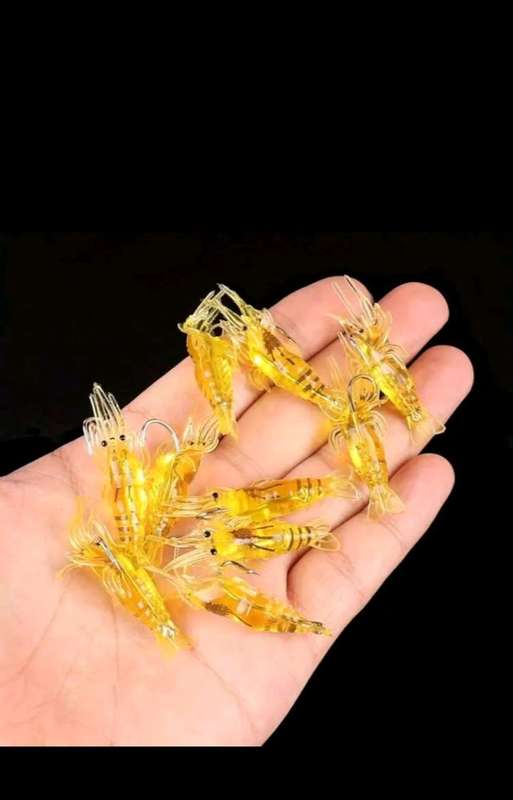 10pc Fish bait