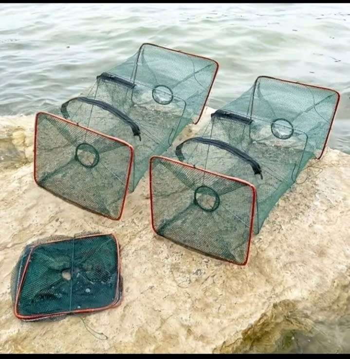 Fish net