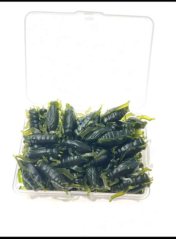 60pc cricket bait for fishing