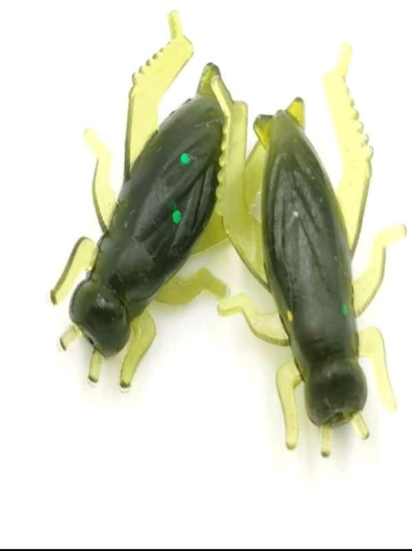 60pc cricket bait for fishing