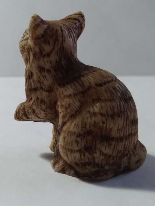 Miniature cat sitting