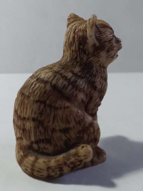 Miniature cat sitting
