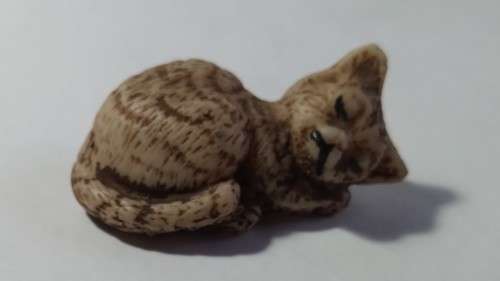 Miniature cat sleeping