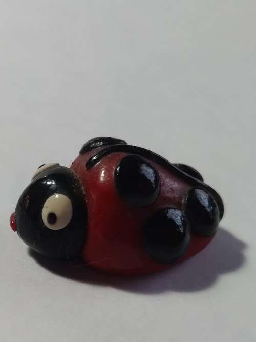 Miniature lady bug