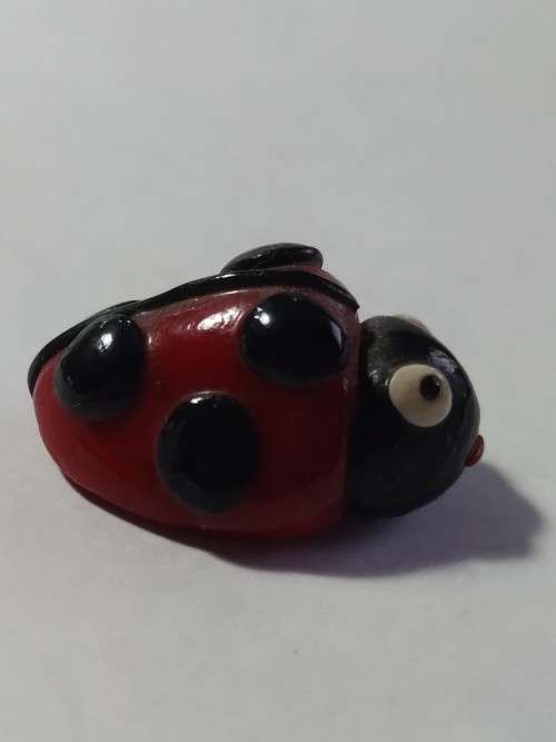 Miniature lady bug