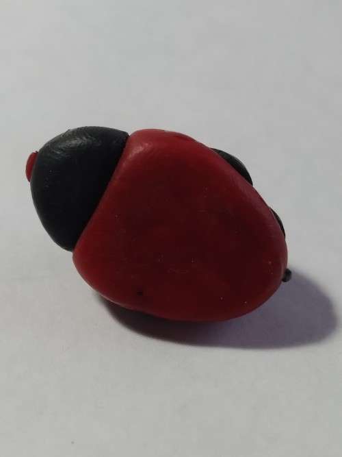 Miniature lady bug