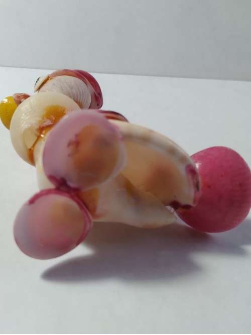 Miniature shell duck
