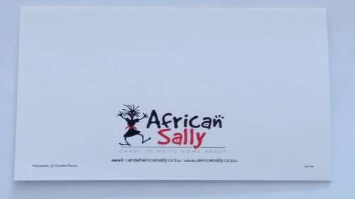 Blank card -  18cm x 12.5cm