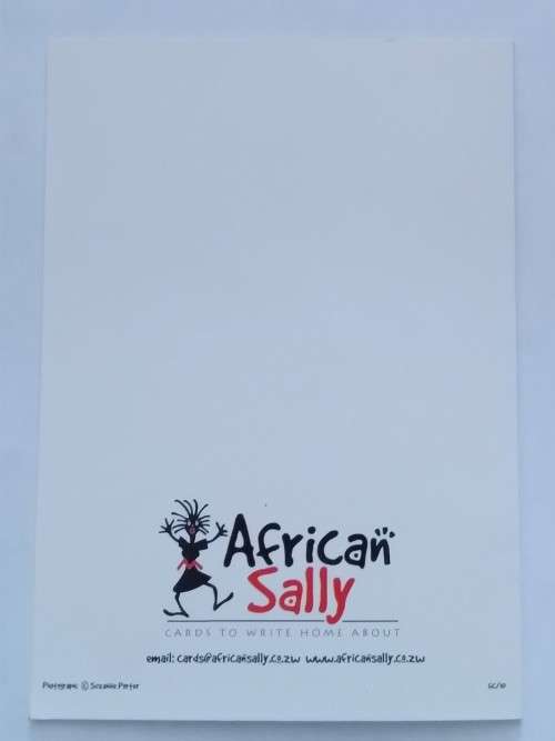 Blank card -  18cm x 12.5cm