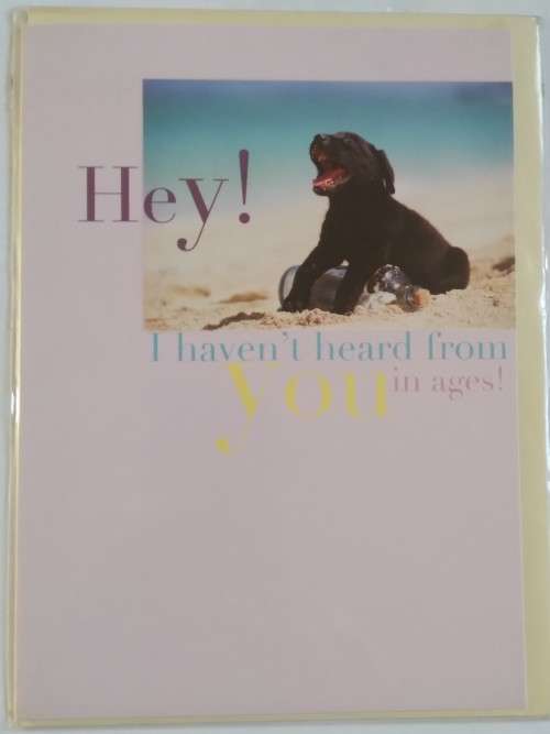 General card  +  envelope