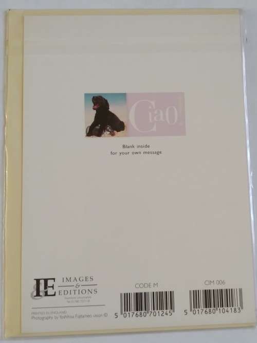 General card  +  envelope