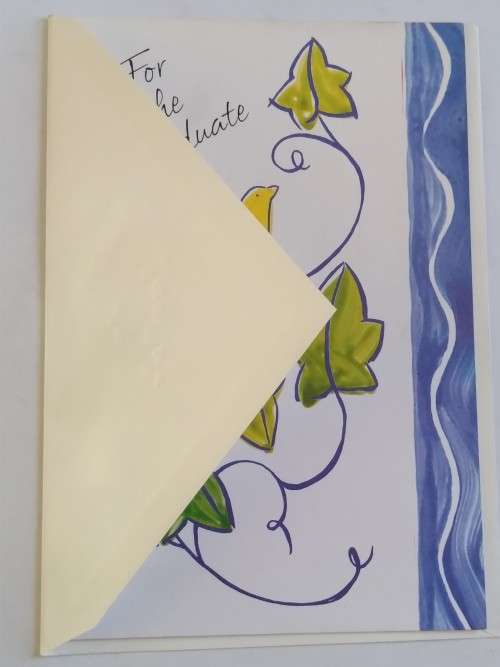 Unused -  Graduation card  +  envelope