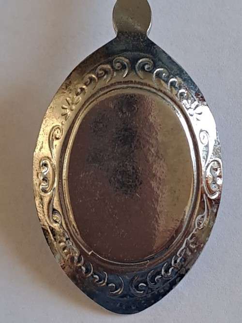 Vintage souvenir spoon - Augrabies Falls/Cape Glossy Starling