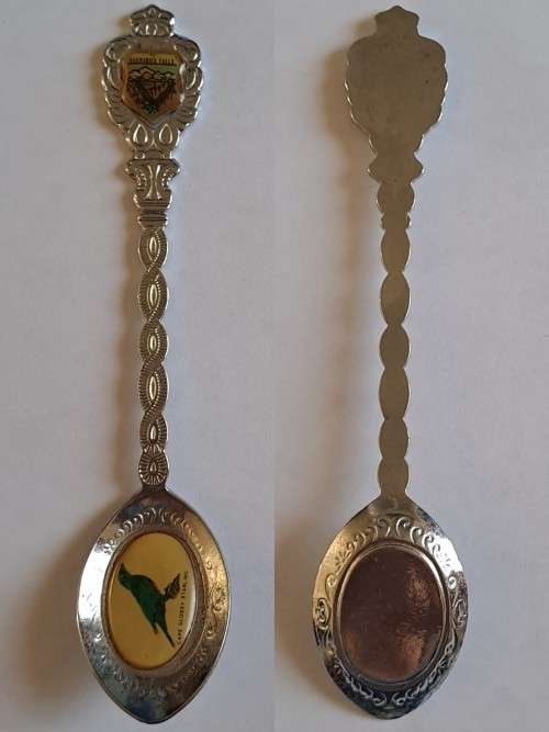 Vintage souvenir spoon - Augrabies Falls/Cape Glossy Starling