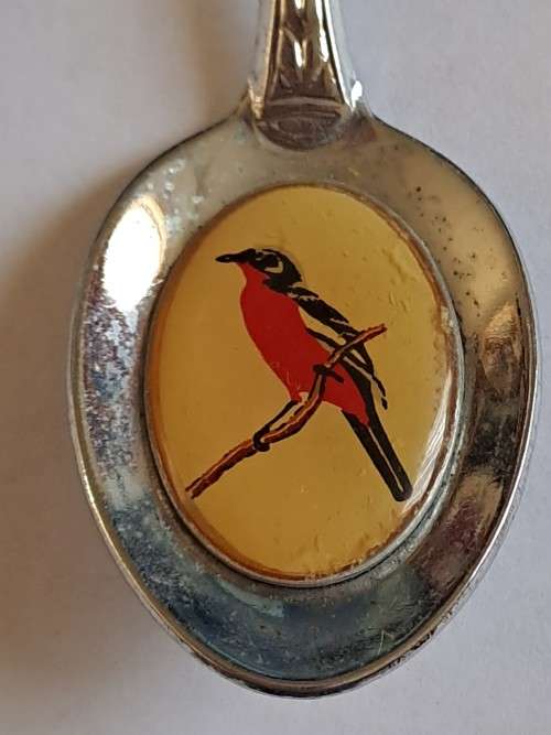 Vintage souvenir spoon -Rustenburg Kloof -  bird