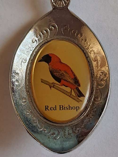 Vintage souvenir spoon -Skukuza -  red bishop