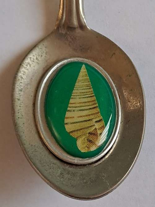 Vintage souvenir spoon -Mossel Bay -  shell