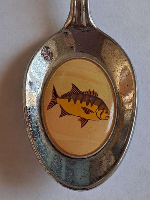 Vintage souvenir spoon - Simonsig -  fish