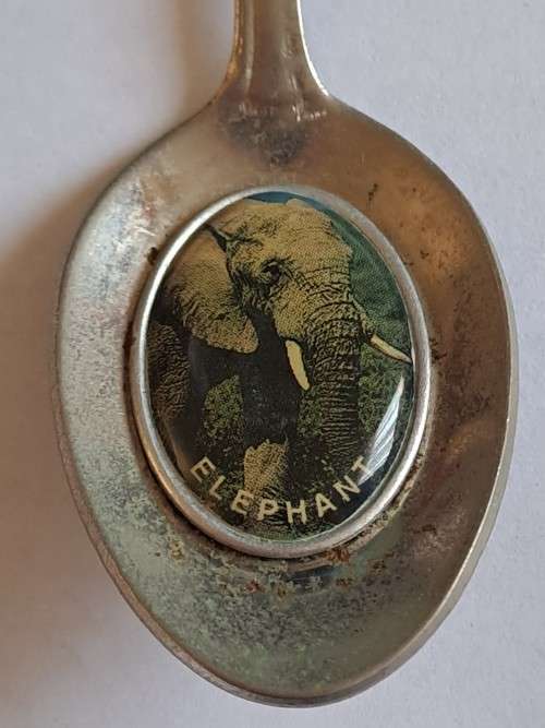 Vintage souvenir spoon - Berg en Dal/elephant