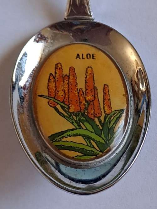 Vintage souvenir spoon -George -  Aloe