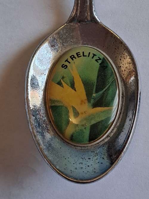 Vintage souvenir spoon - Aventura Aldam/strelitzia