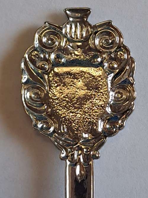 Vintage souvenir spoon - Aventura Aldam/strelitzia