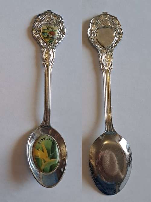 Vintage souvenir spoon - Aventura Aldam/strelitzia