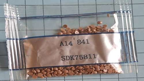 Diamond dot beads  -  A14 841 - Brown/Beige-ish