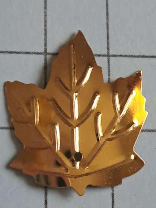 Art +  craft embellishments - `Golden maple leaf`