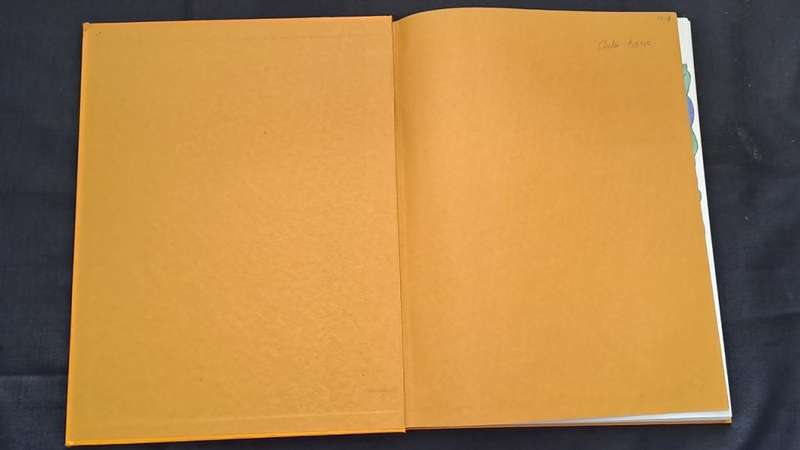 Golden Hands -  Volume 5