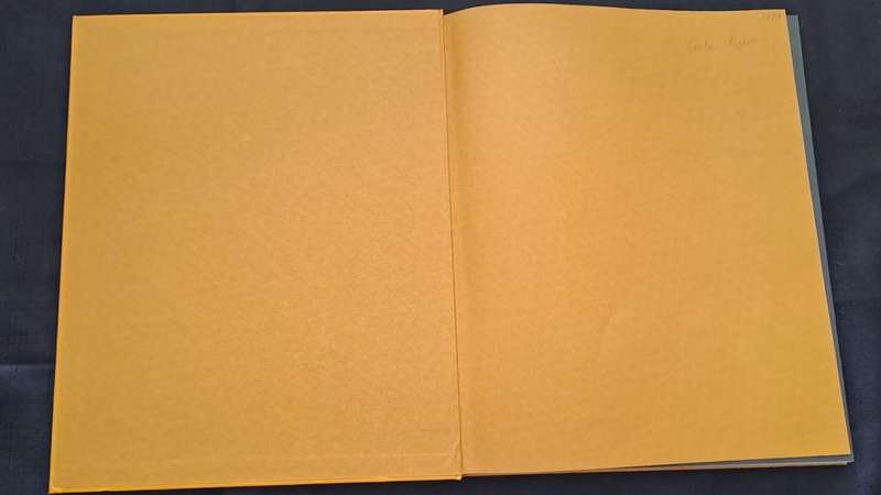 Golden Hands -  Volume 6