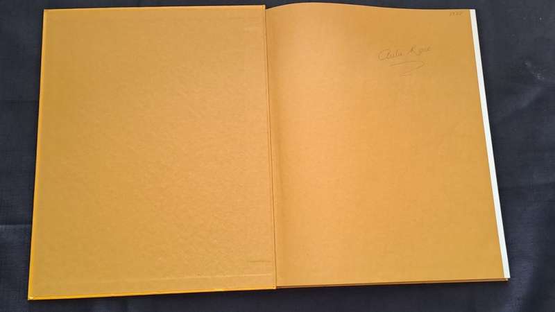 Golden Hands -  volume 8