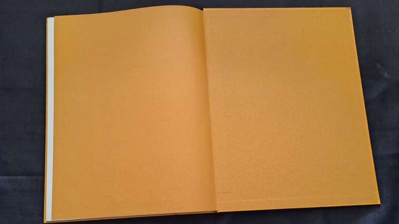 Golden Hands -  volume 8