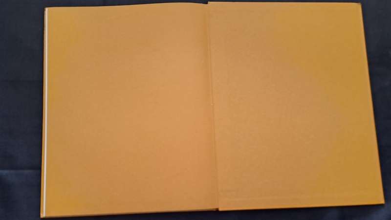 Golden Hands -  Volume 9