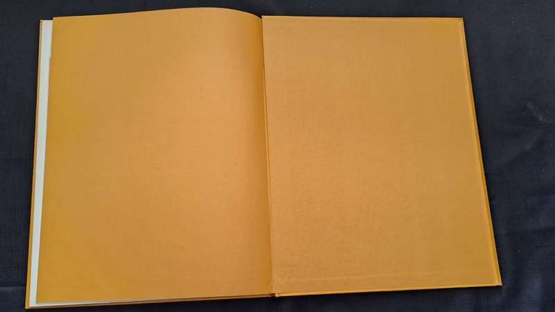 Golden Hands -  Volume 10