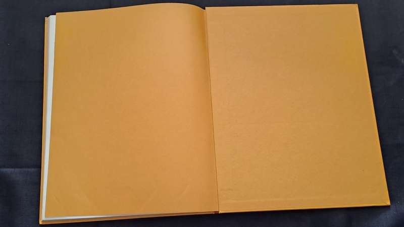 Golden Hands -  Volume 11