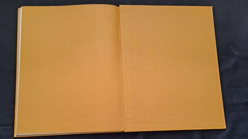 Golden Hands -  Volume 12