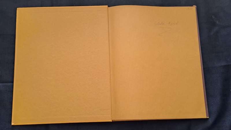 Golden Hands -  Volume 13