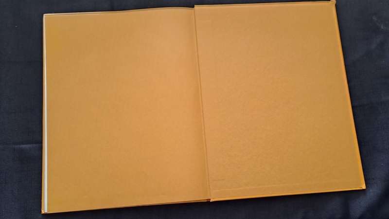 Golden Hands -  Volume 13